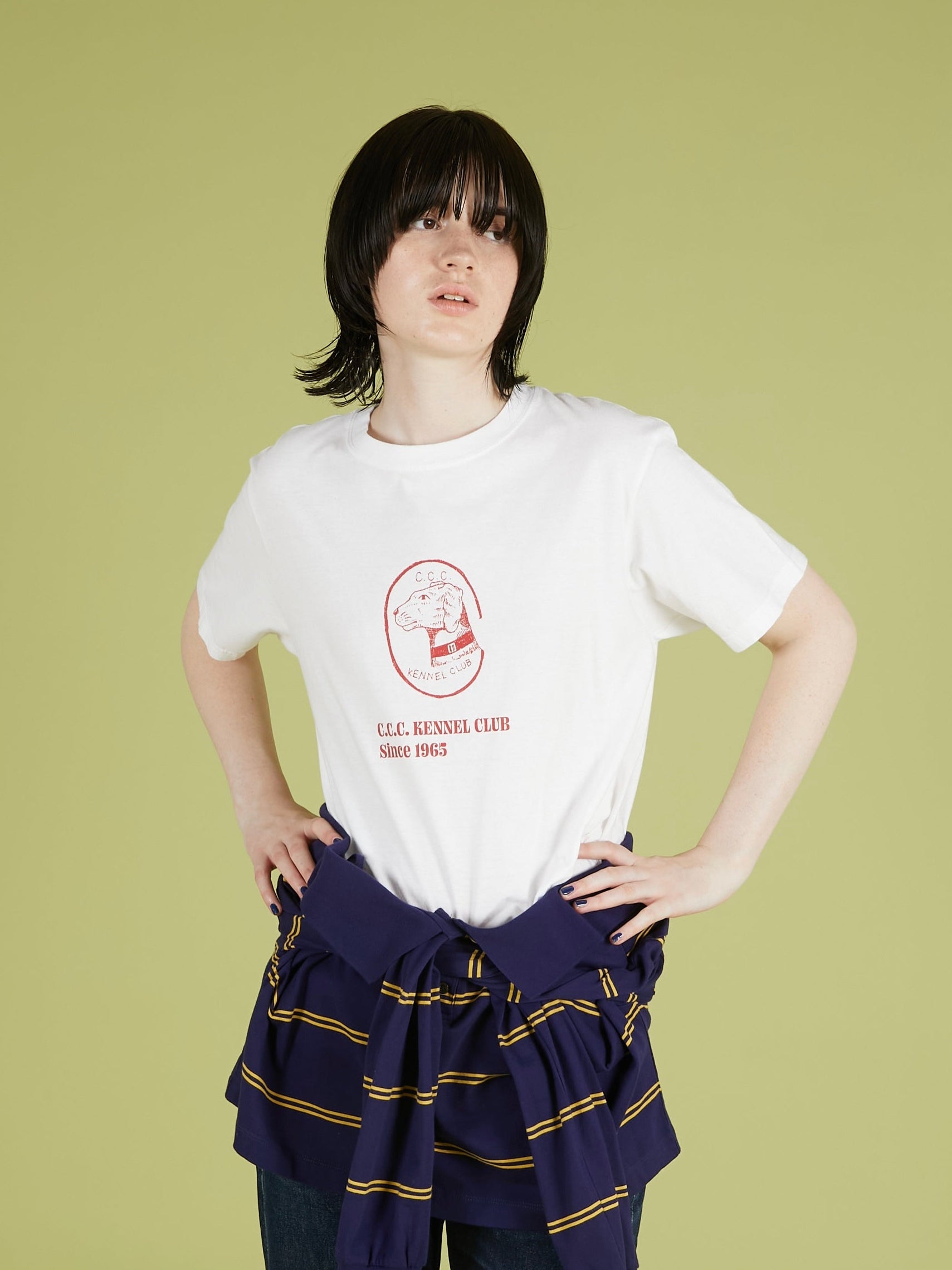 2 pack T shirts｜WHITE