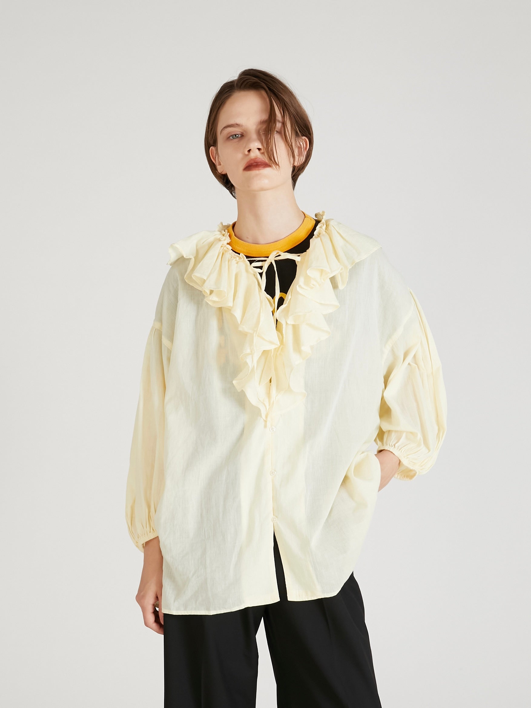 sheer ruffle blouse ｜BEIGE