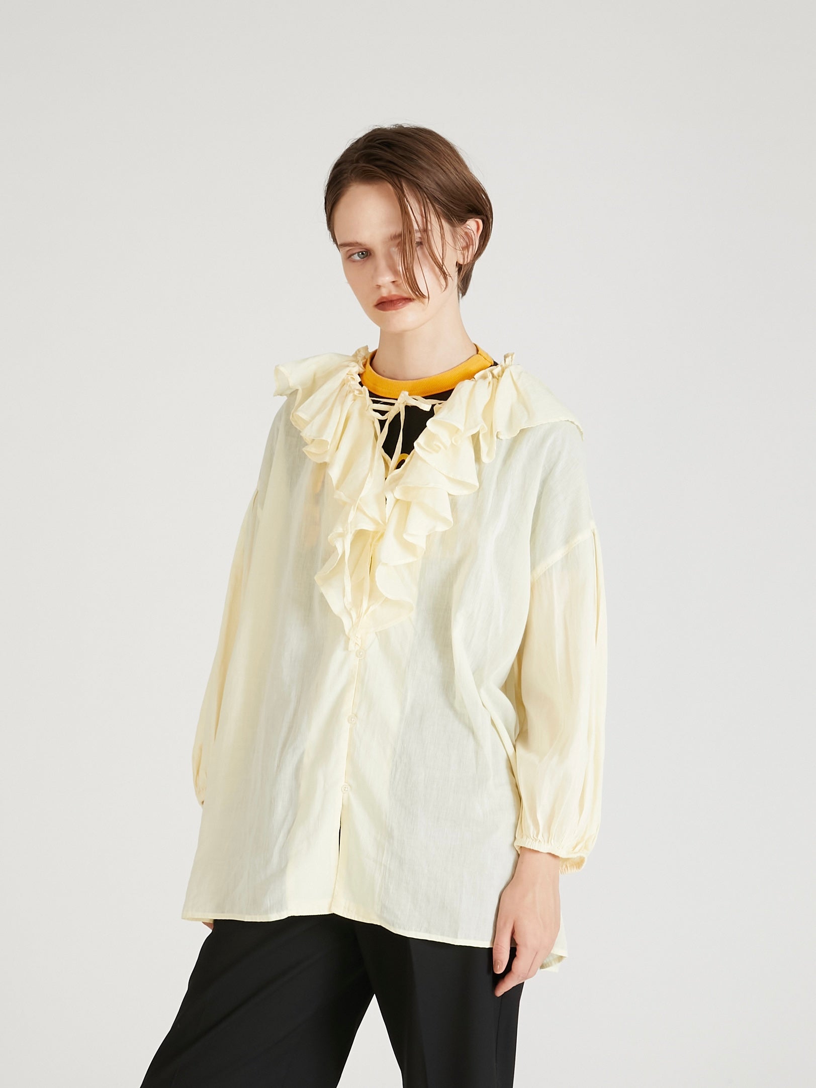 sheer ruffle blouse ｜BEIGE
